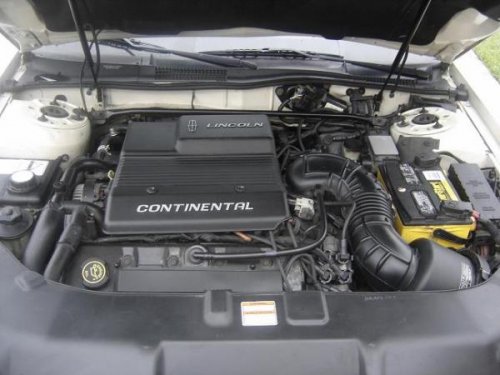 i2920.jpg
