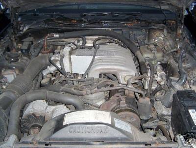 i2947.jpg