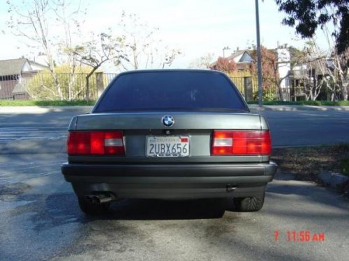 i2993.jpg