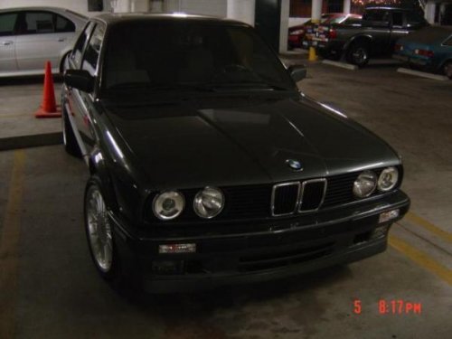i3003.jpg