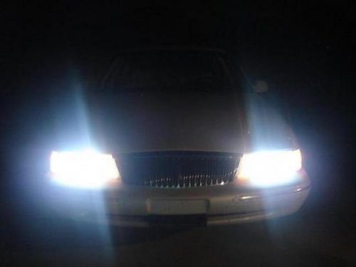 i3045.jpg
