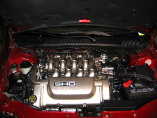 i3330.jpg