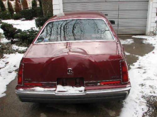 i3547.jpg