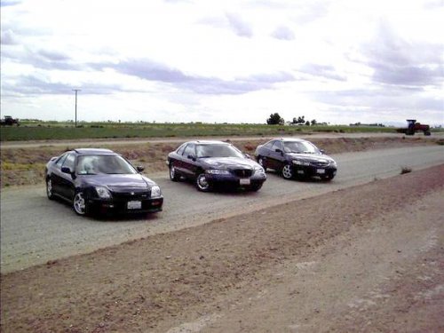 i4517.jpg