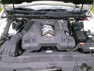 i4650.jpg
