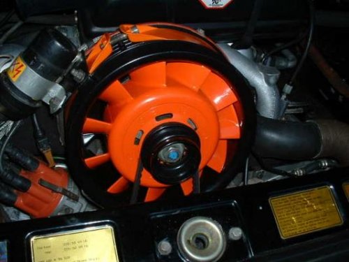 i7372.jpg