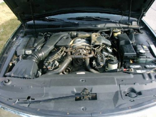 i7399.jpg