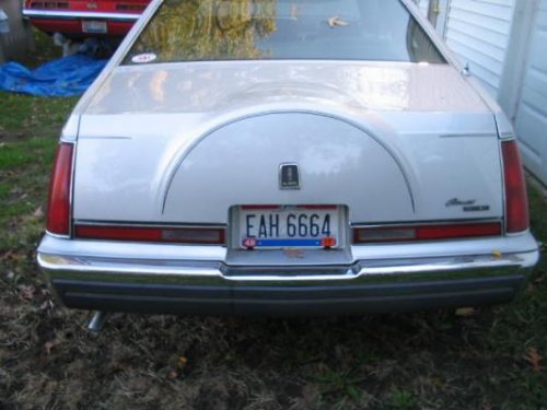 i8074.jpg