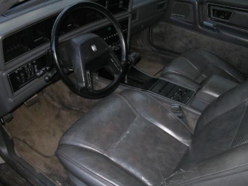 i8077.jpg
