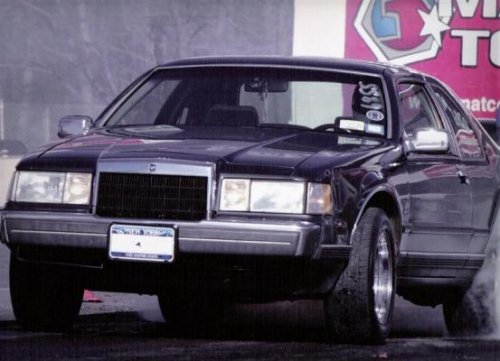i8143.jpg