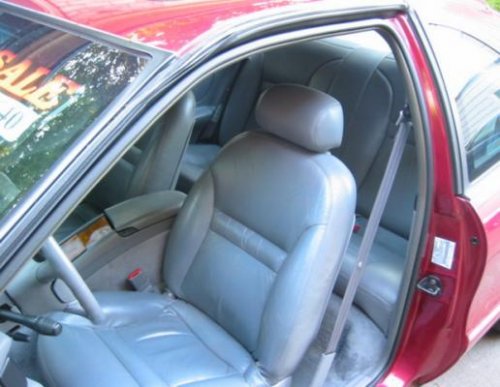 i8145.jpg