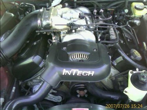i8159.jpg