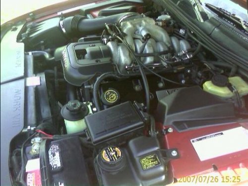 i8165.jpg