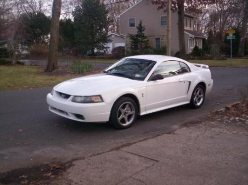 i8275.jpg