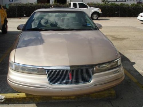 i8334.jpg