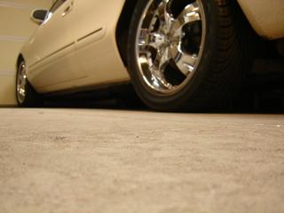 i8378.jpg