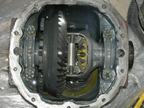 i8561.jpg