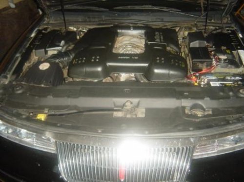 i8598.jpg