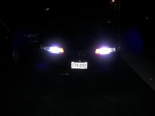 i9131.jpg