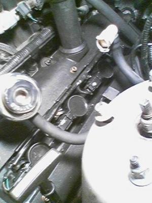 i10151.jpg