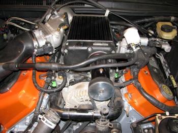 i10832.jpg