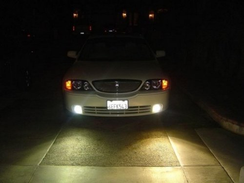i11831.jpg