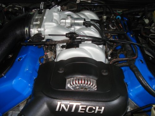 i12951.jpg