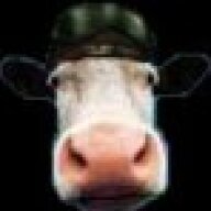 Biocow