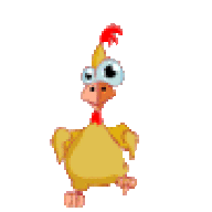 chicken