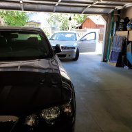 Ant3.9LS03
