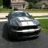 Stang1