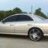 Monkeys_ls6