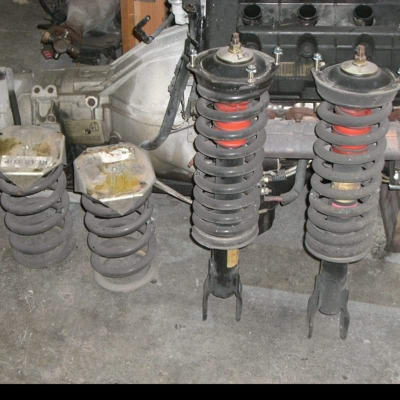 coilspringggggggggggggggggggggggggg.jpg