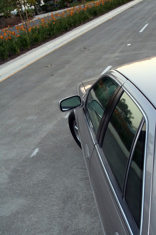 Picture1.jpg